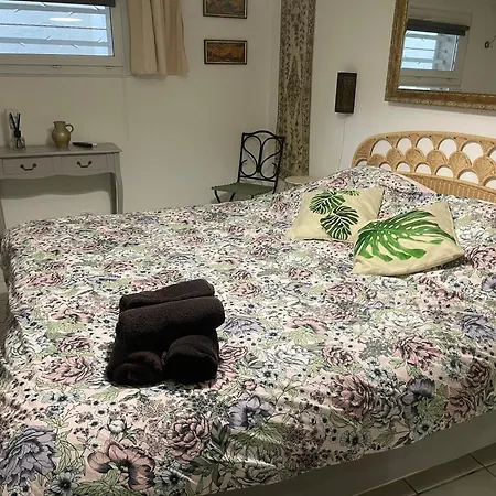 Tres Belle Maison Piscine Chauffe 210m2 Climatise Holiday home *