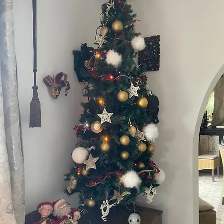 Tres Belle Maison Piscine Chauffe 210m2 Climatise