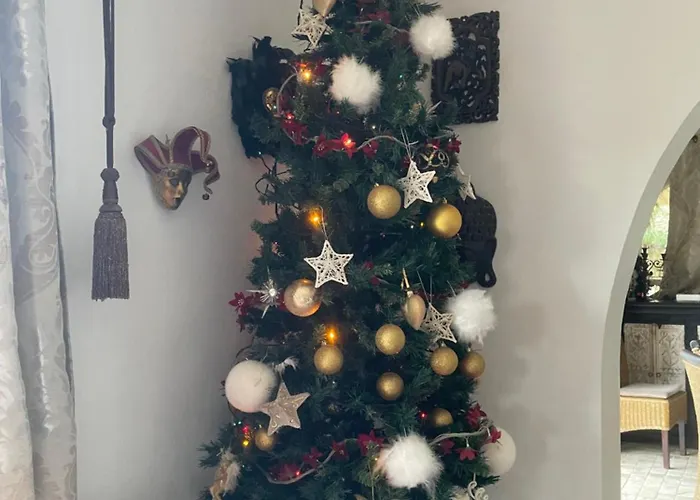 Très Belle Maison Piscine Chauffé 210m2 Climatisé